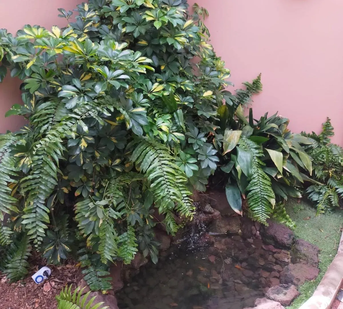 Vivienda Vacacional Los Guaniles 잉헤니오 펜션